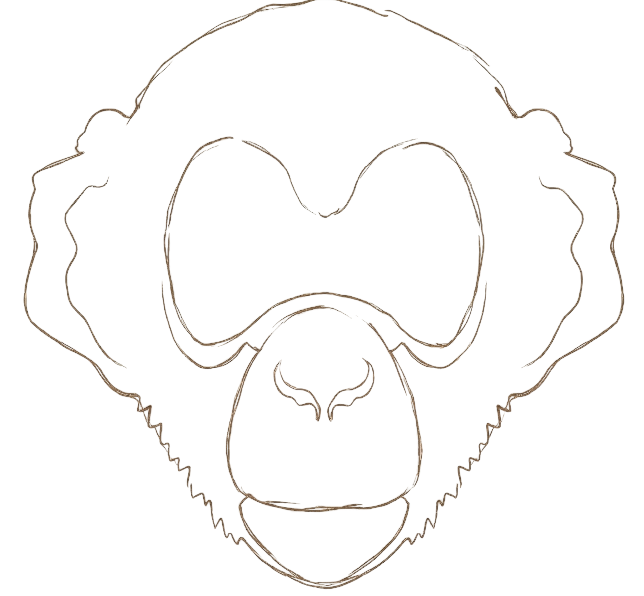 Monkey Ibiza