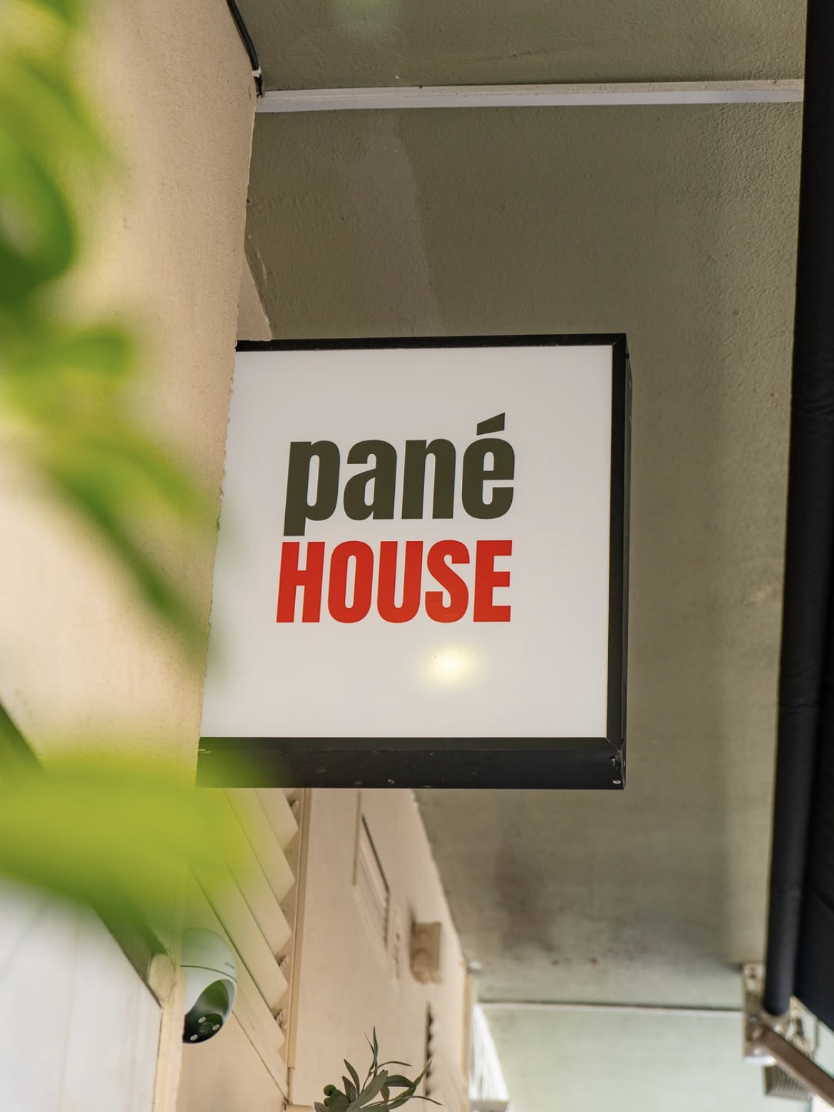 Ambiente de Pané House