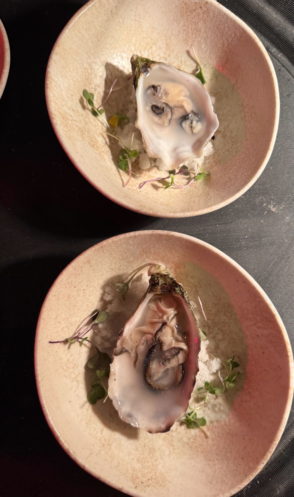 Sugerencia Gourmet 3