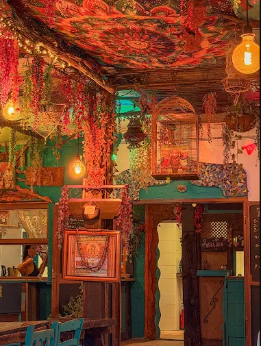 Shanti Shanti Local 2