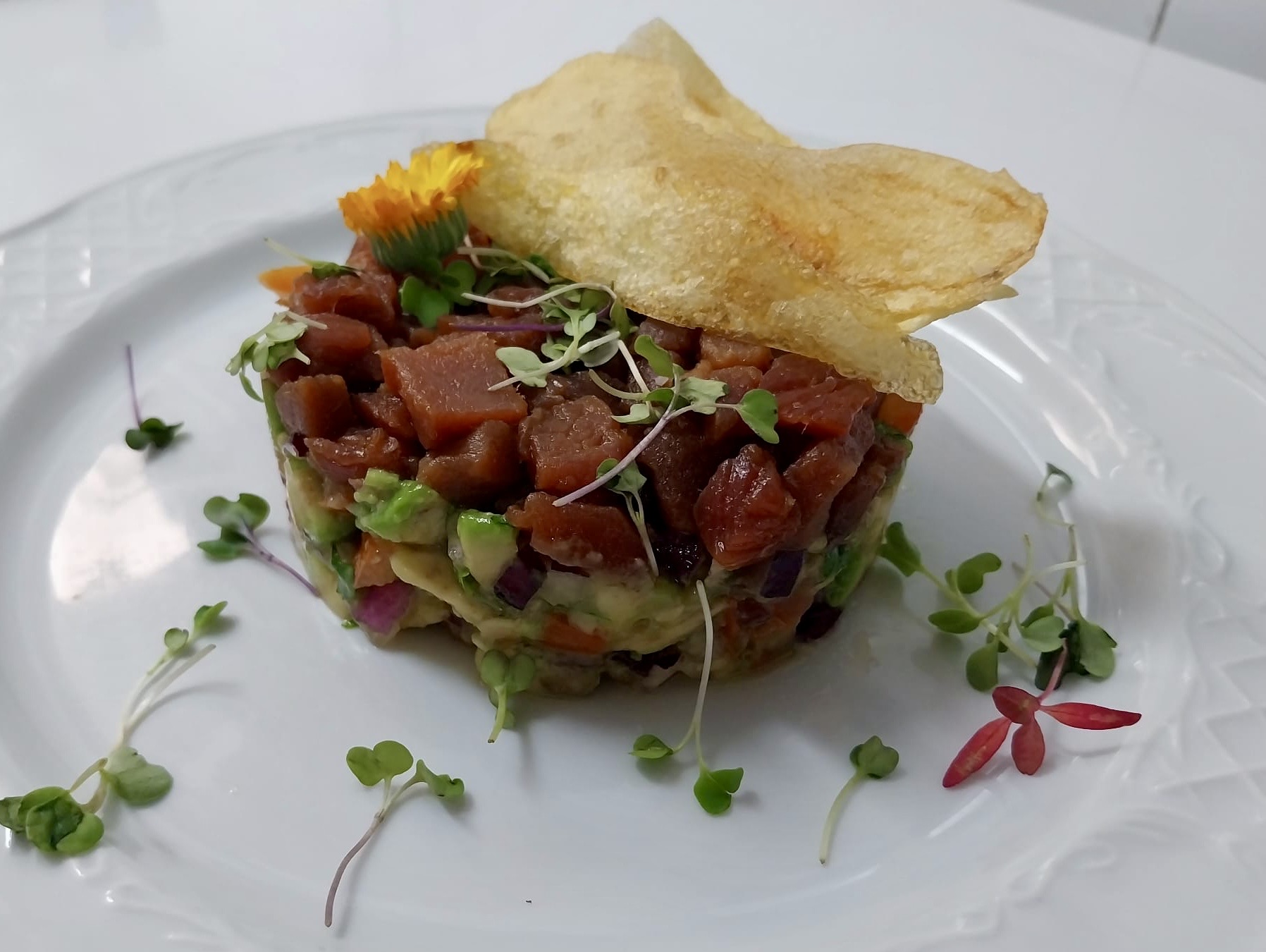 Plato Atunarte 3