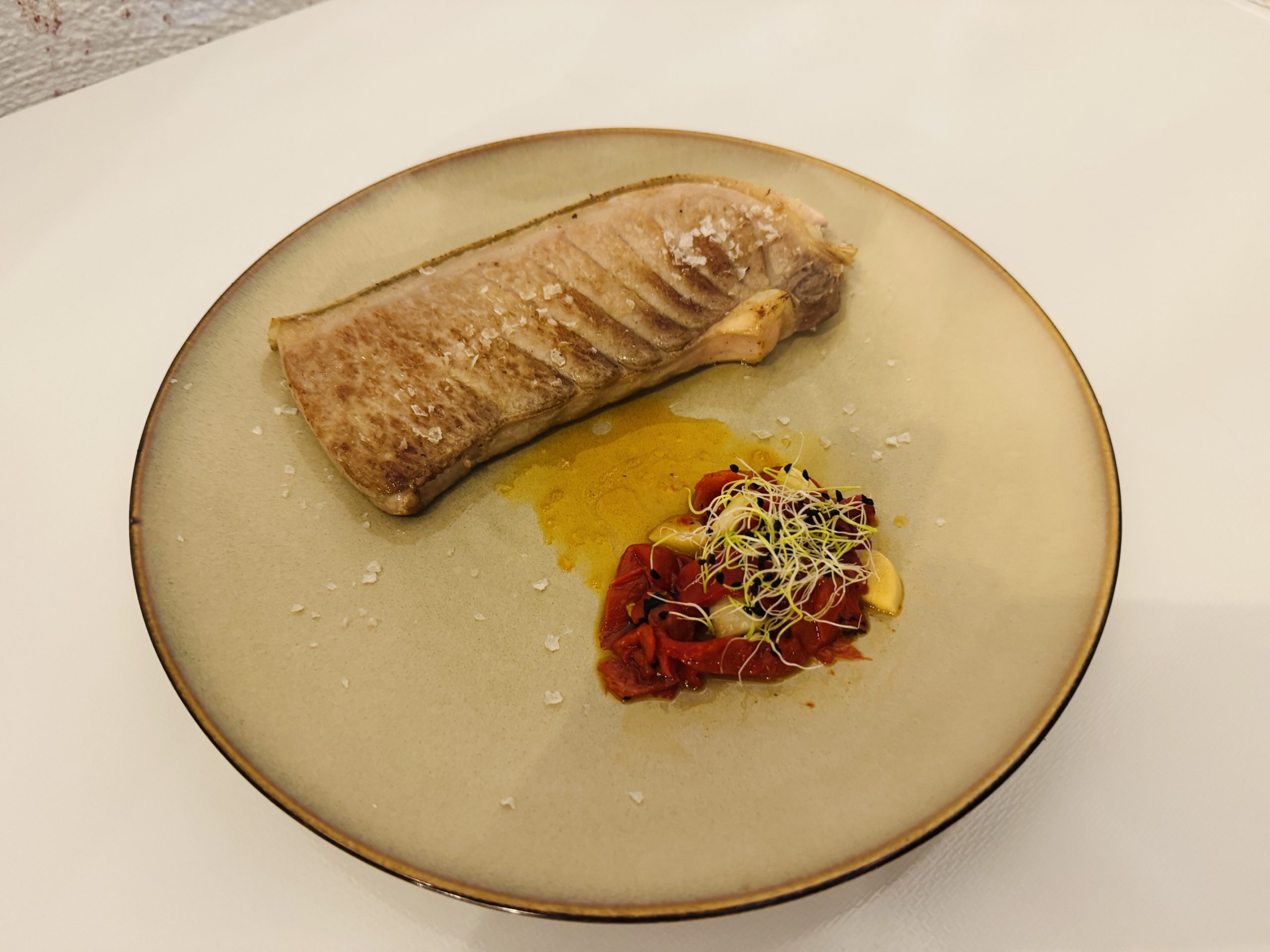 Plato Atunarte 8
