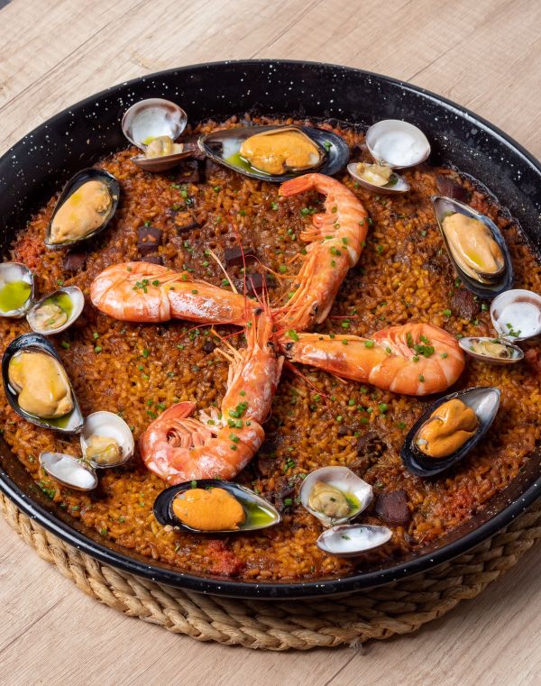 Plato 3