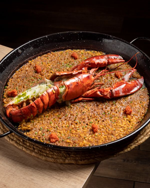 Plato 4