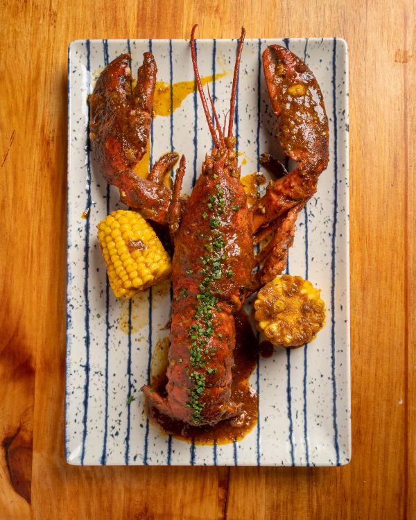 Plato 6